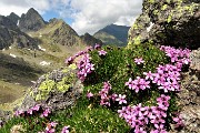 BENIGNI, salito dalla Val Pianella e la sua cima, disceso dalla Val Salmurano il 18 giugno 2017  - FOTOGALLERY